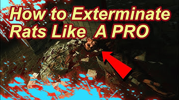How Take D2 Extract Like A Pro - Escape From Tarkov - Guide