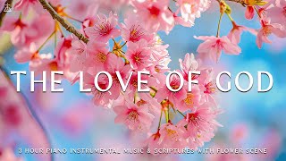 The Love Of God: Instrumental Worship, Meditation & Prayer Music with Flower Scene CHRISTIAN piano