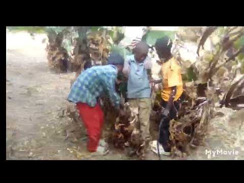 KIJIJI CHA WACHAWI EP1 SERIES 