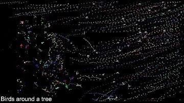 Studying birds trajectories using TRACK, the detection and tracking software
