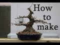 Bonsai   how to make   