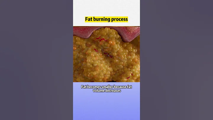 #visceralfat #animation | Fat burning process #wls #weightloss #obesity #weightloss - DayDayNews