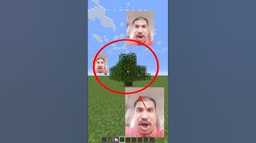 Can ChatGPT guess what I built in Minecraft? 🤔🎮 #aichallenge #chatgpt #minecraft #minecraftbuild