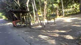 Lalmohan Westernpara