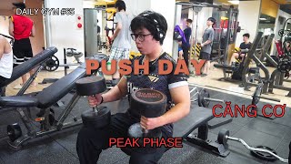 DAILY GYM VLOG #65 l PUSH DAY l CĂNG CƠ l