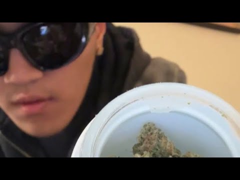 LEXインスタライブ バッツ紹介