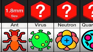 Comparison: The TINIEST Things In The Universe