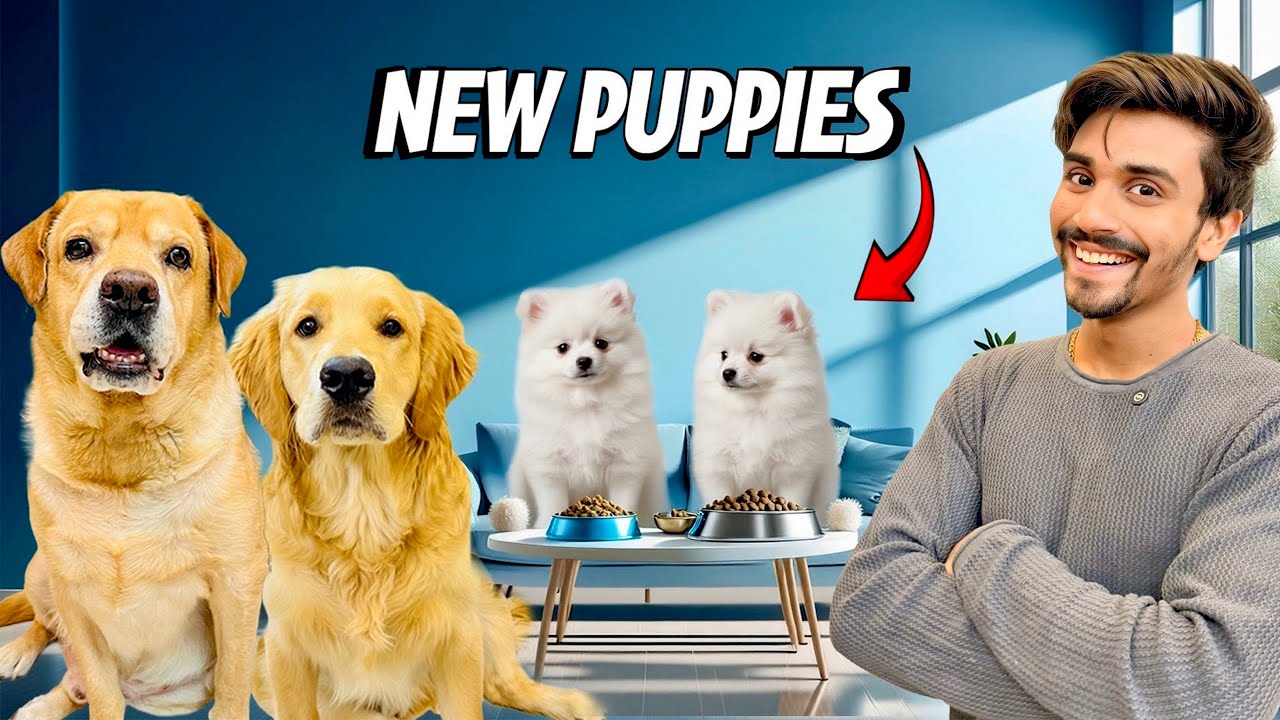 Jealousy Prank On Leo & Reo | New Puppies At Home | Anant Rastogi 