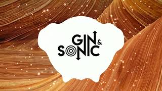 Martin Solveig - Intoxicated Gin And Sonic X Sell Out Mc Remix Free Download