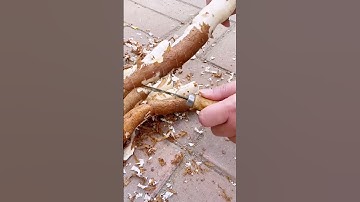 cassava peeling technique using simple tools #shorts