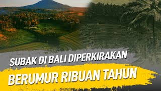 Download Lagu SUBAK DI BALI DIPERKIRAKAN BERUMUR RIBUAN TAHUN MP3