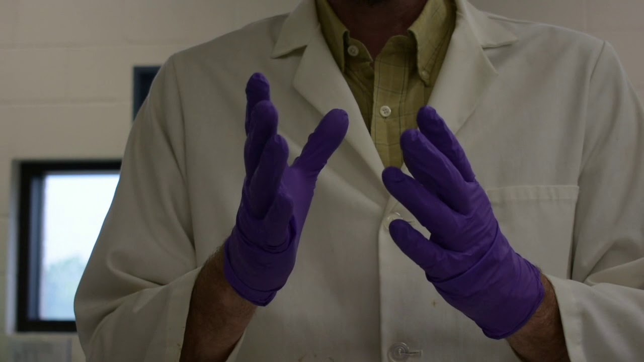 Wearing Gloves During Lab