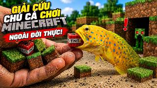 Giải cứu chú cá chơi Minecraft ngoài đời thực và cái kết cực sốc