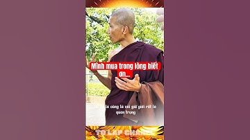 Mình mua trong lòng biết ơn... #suminhtue #thichminhtue #shortvideo #videoshort #phatphap #tintuc