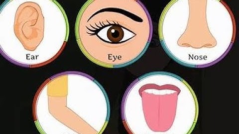 General Science 6, Unit 3, Lecture#6 (MCQs)Week 3