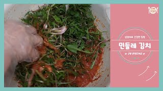 Sub 건강한 집밥 요리 봄에는 민들레 김치 만들어요 Jipbab Cooking Kimchi Dandelion Kimchi Dandelion