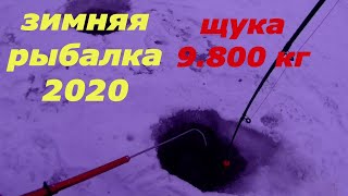 Щука 9.800 кг.  Зимняя рыбалка 2020.