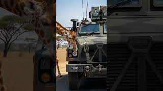 Giraffe Saves Soldiers From Deadly Accident