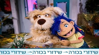 צמר ויעלי