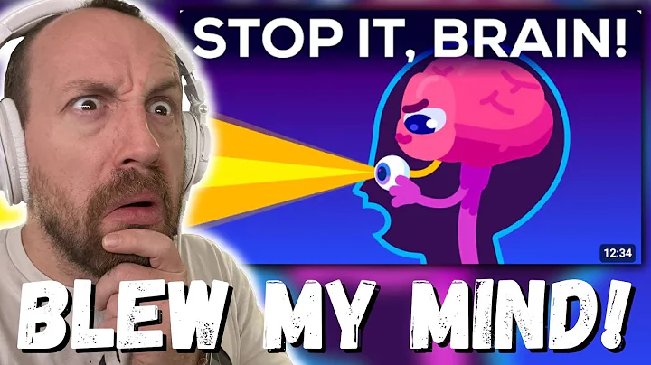 BLEW MY MIND!!! Why Your Brain Blinds You For 2 Hours Every Day (REACTION!!!) Kurzgesagt