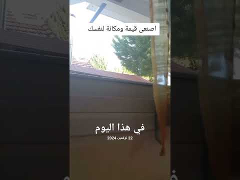 اعملى قيمة لنفسك  اكسبلور   