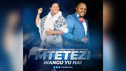 Tumain Njole Feat Christopher Muhangila - MTETEZI WANGU YU HAI (Official Audio)