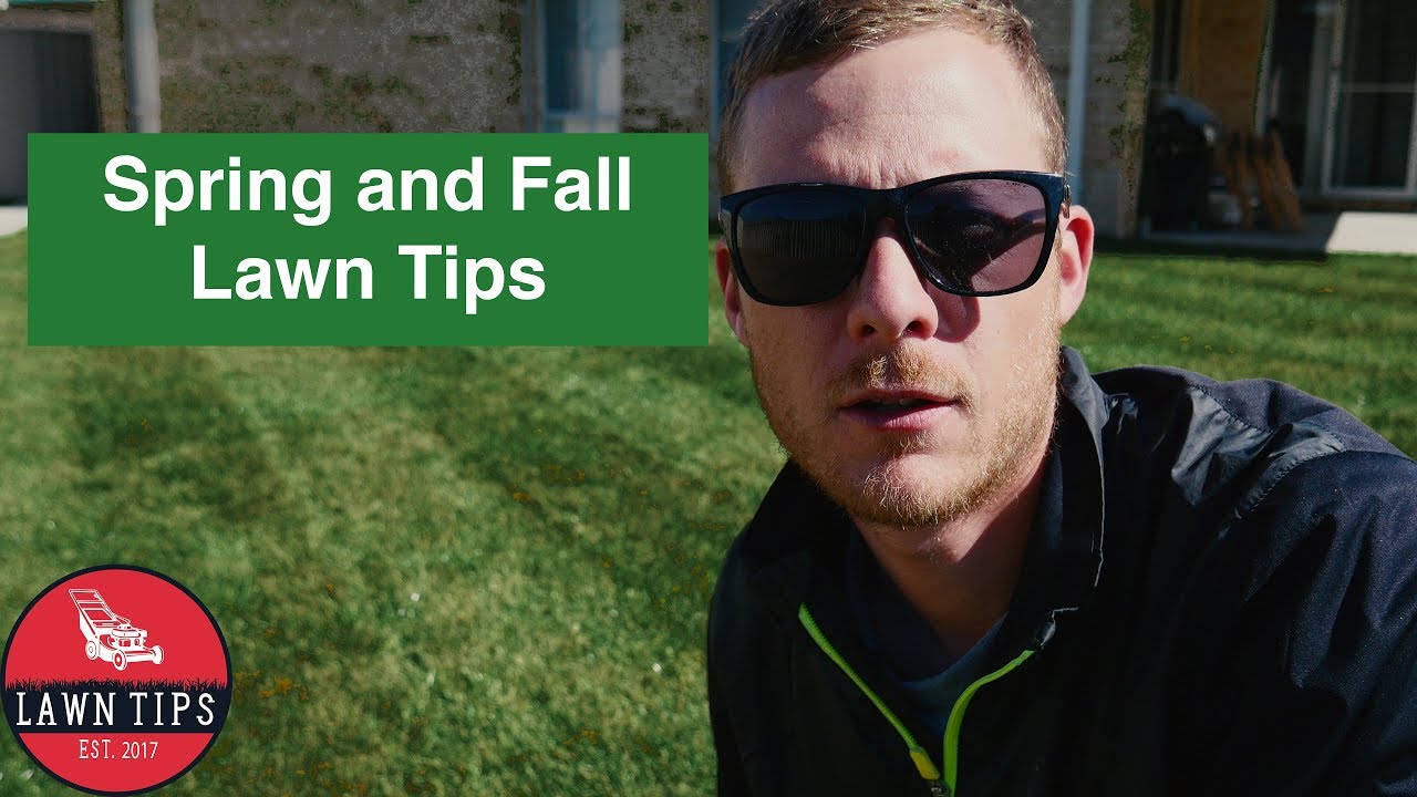 lawn care tips for beginners Spring and Autumn (Fall) Lawn Tips