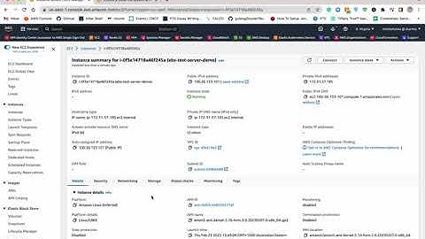 How to Extend a Linux file system after resizing a volume in AWS EC2 | By M. Sharma