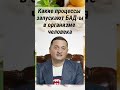 Влияние БАД-ов на организм: процессы и результаты