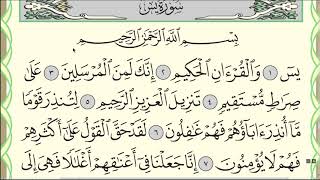 Коран. Сура "Йасин" (Ясин) № 36. Аяты 1-12 #коран #таджвид #сунна #хадж