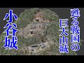 【小谷城】甦る戦国の巨大山城　浅井長政が織田信長と攻防を繰り広げた城