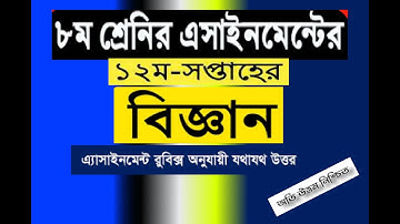 12th Week Class 8 Science Assignment Full Solution