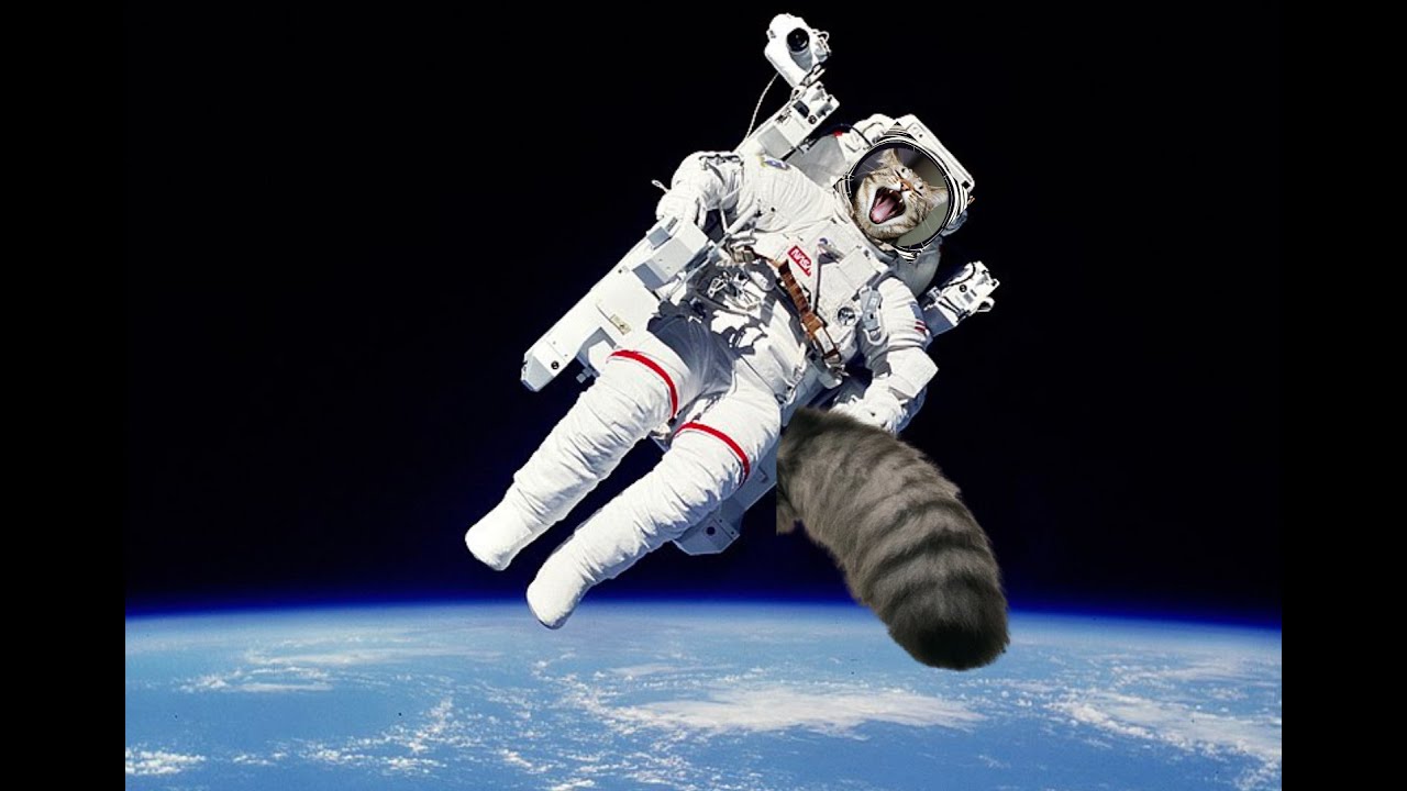 Watch Astro Cats in Earth's Atmosphere! 🐱🌍🚀 Chillout Session Part 1 on YouTube Watch Astro Cats in Earth's Atmosphere! 🐱🌍🚀 Chillout Session Part 1 on YouTube