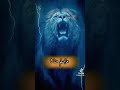 الهيبة هي كلمتنا