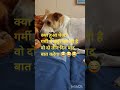 दिल्ली में बारिश 😅😅