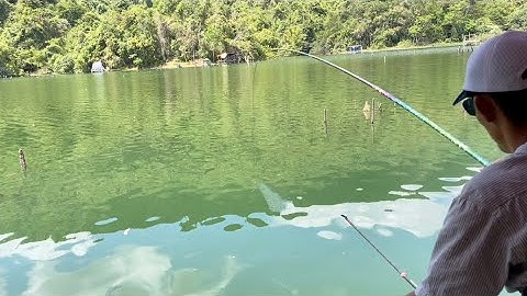 Đa Mi- chuyến săn hàng cuối năm và các pha chạm hàng khủng. (P2.) Fishing like that.