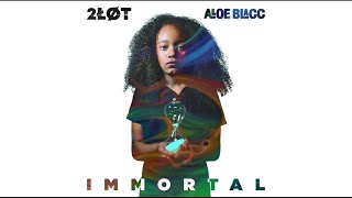 2lot And Aloe Blacc  Immortal  