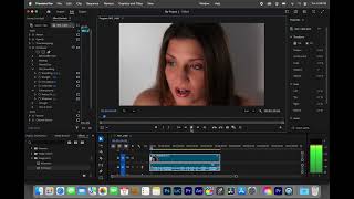 How to Smooth Skin in Premiere Pro screenshot 2