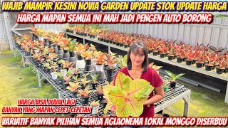 AGLONEMA TERBARU UPDATE HARGA TERBARU‼️FULL BARANG BARU DI NOVIA GARDEN‼️