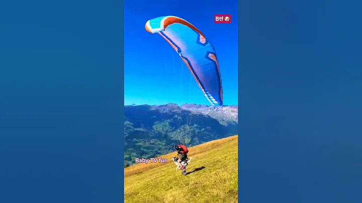 Trance of OMI -#TheyCallHimOG | PawanKalyan |Emraan Hashmi |Sujeeth |Thaman S| DVV Danayya #omi #og