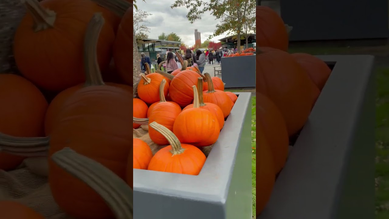 Pumpkins Festival in New York Botanical Gardens, Bronx, New York, USA. Starts Every October.