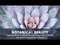 Botanical Beauty: Plant & Flower Case Studies Recorded Webinar with Sarah Marino and Anne Belmont