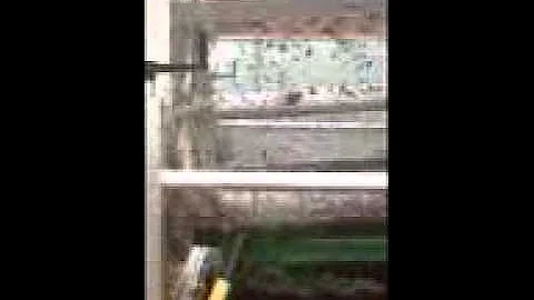 Worm Harvester video 2