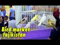 Птичий рынок Таджикистан г Канибадам