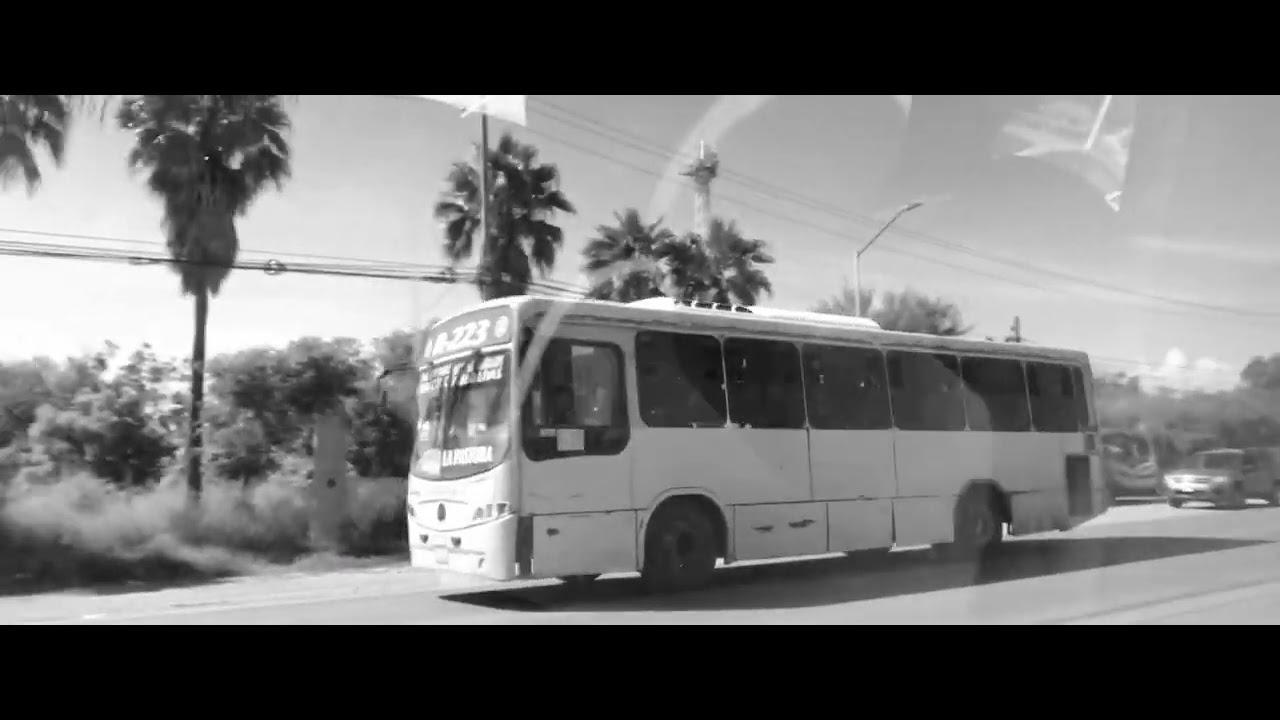 Ruta 223 Monteverde Gine #168 - YouTube