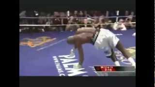 Antonio Tarver gets knocked down by Eric Harding, Bernard Hopkins and Chad Dawson