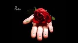 بعدني صغير وستعجل عليه الشيب /موال