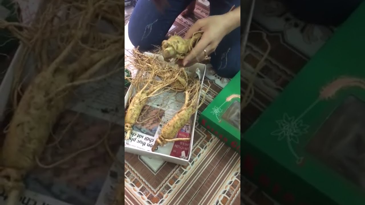 Sâm tươi bán ở đâu