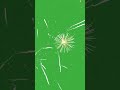 fireworks green screen vertical #fireworks #greenscreen #happynewyear2022greenscreen #diwalispecial