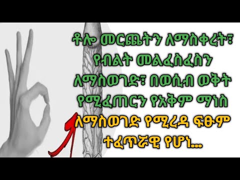 ቪዲዮ: የደን አስተዳደር መርሆዎች ምንድ ናቸው?